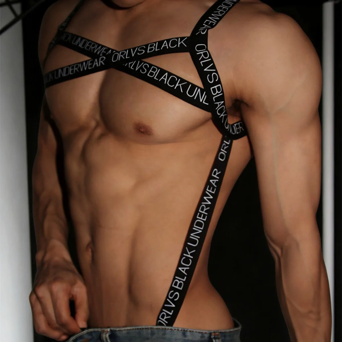 Accessories & Harnesses