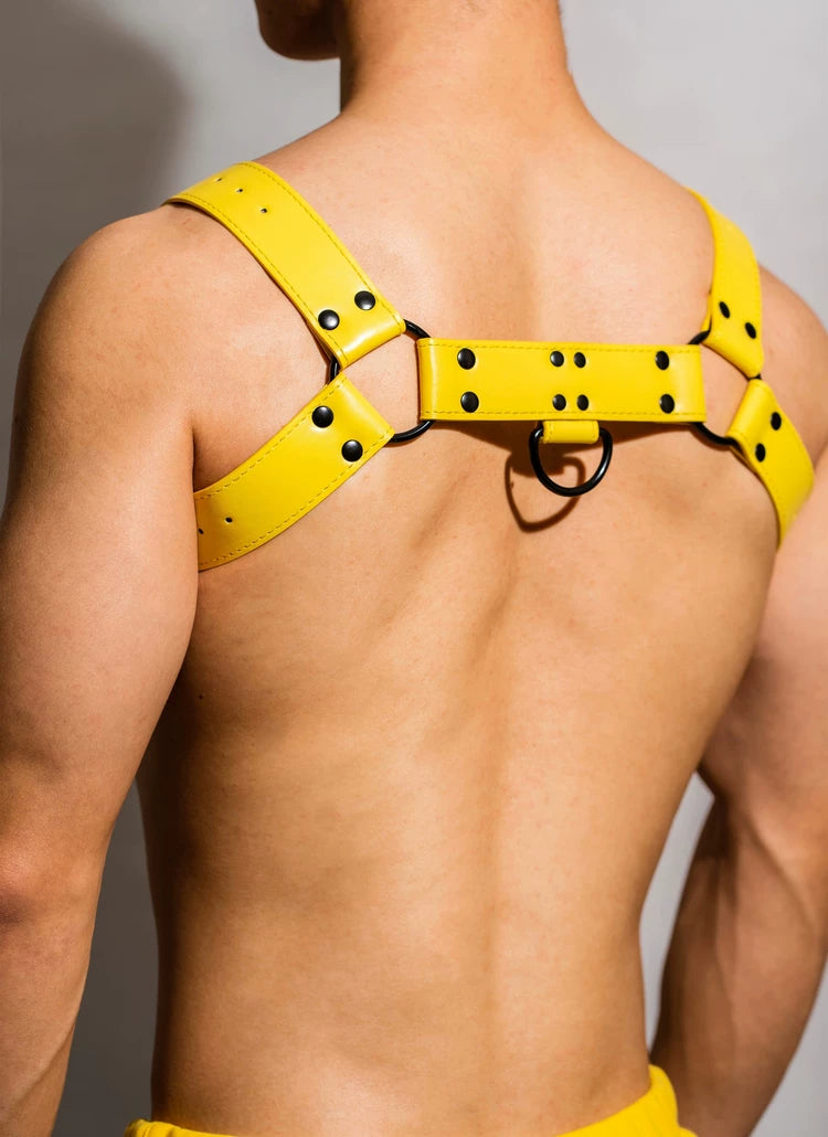 D.M Yellow Chest Harness