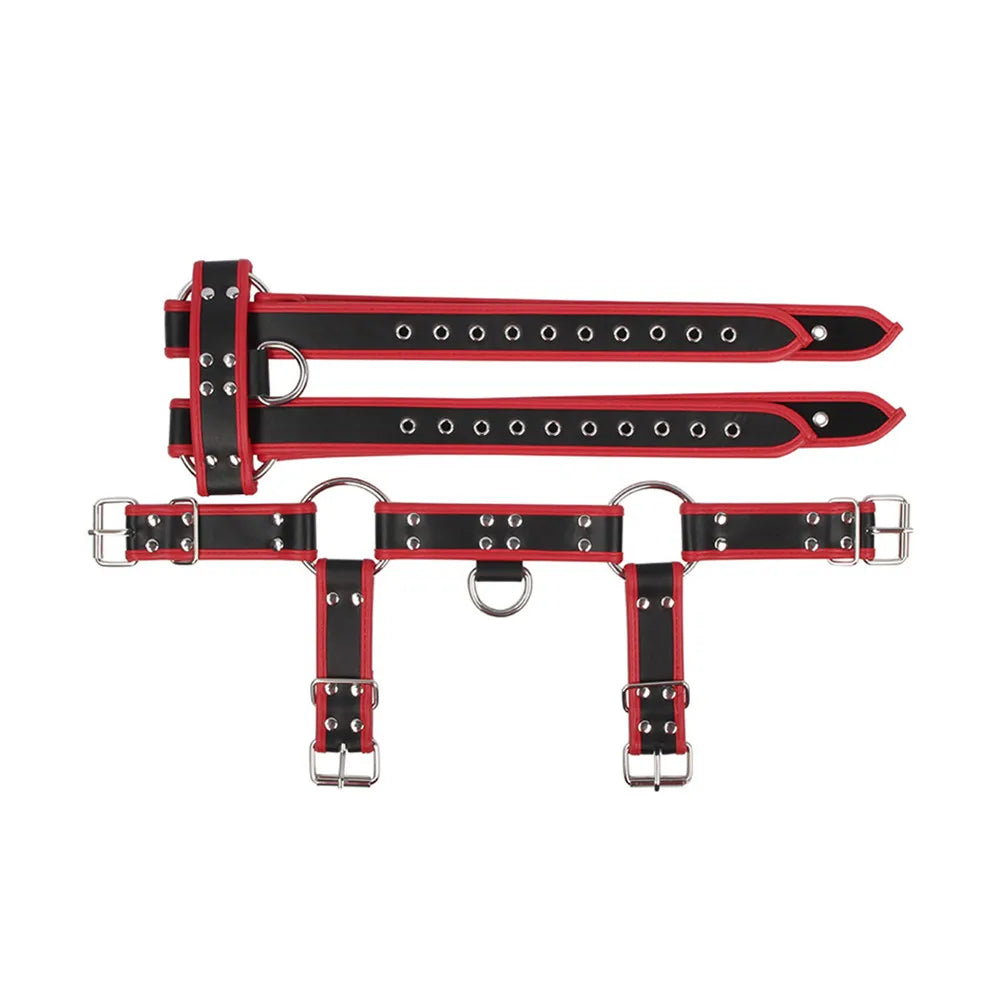 Contrast-Trim Chest Harness