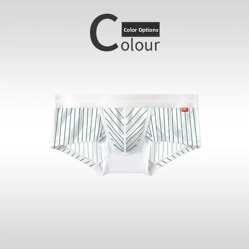 Striped Varieties Briefs & Thongs