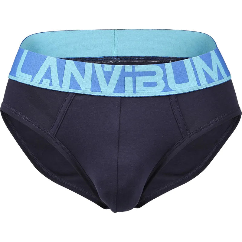 LANVIBUM Cotton Briefs