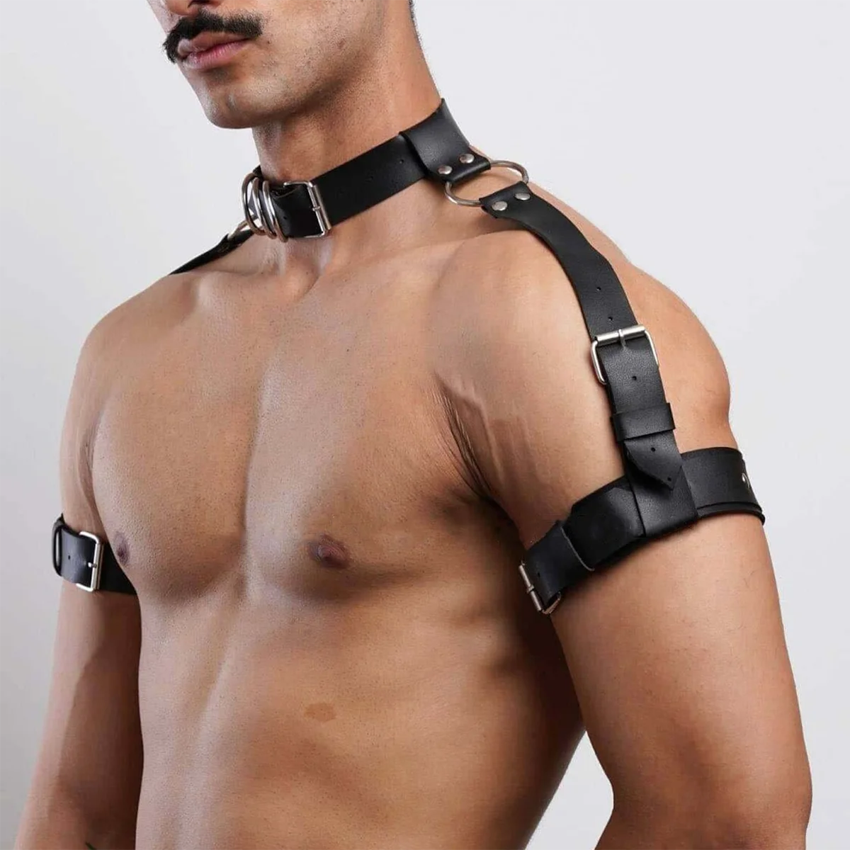 Collar & Bicep Harness