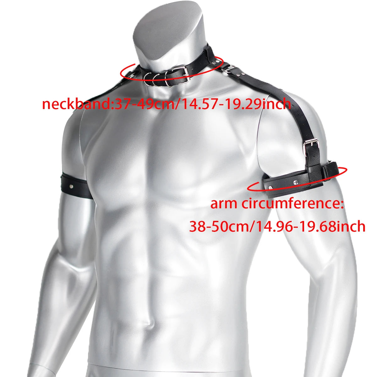Collar & Bicep Harness