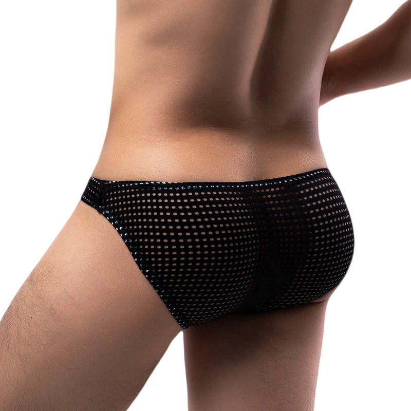 Tease Mesh Briefs