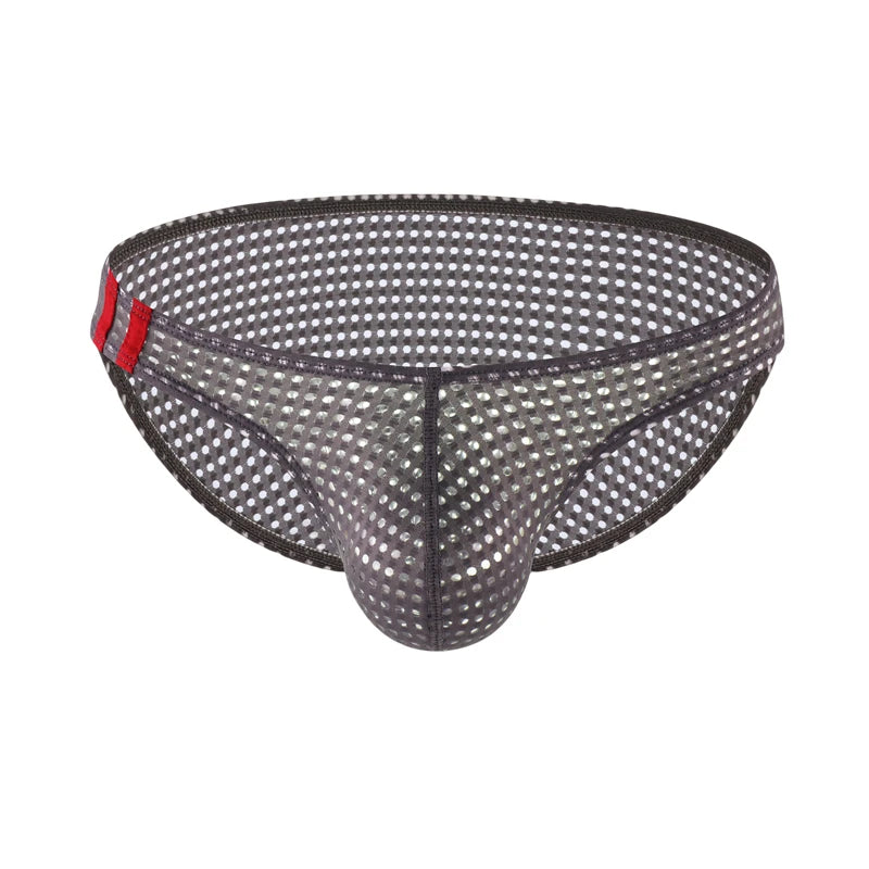 Tease Mesh Briefs