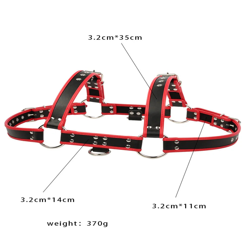 Contrast-Trim Chest Harness