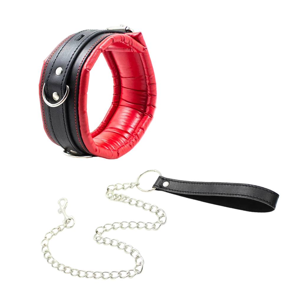 Padded Collar & Chain Leash