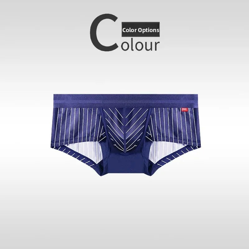 Striped Varieties Briefs & Thongs