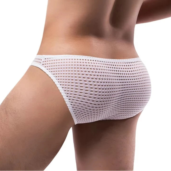 Tease Mesh Briefs