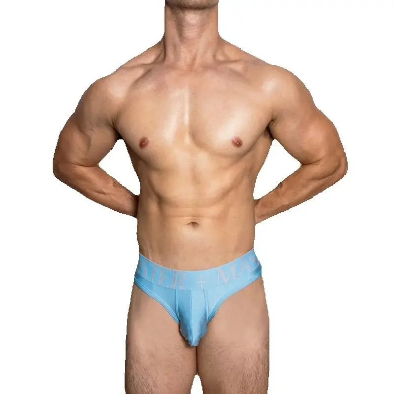 Master's Brief