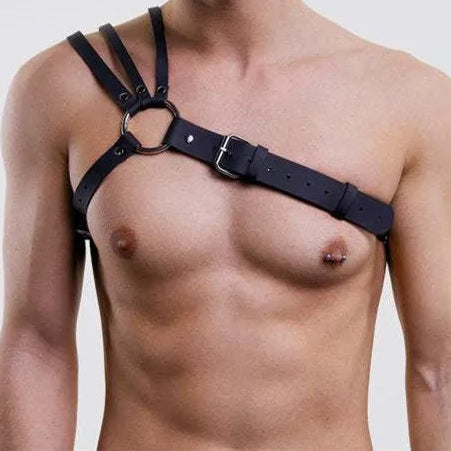 Studded Collar Harness (various styles)