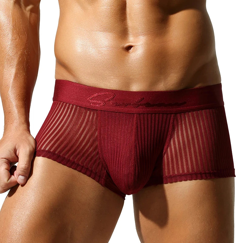 Veil Mesh Boxers