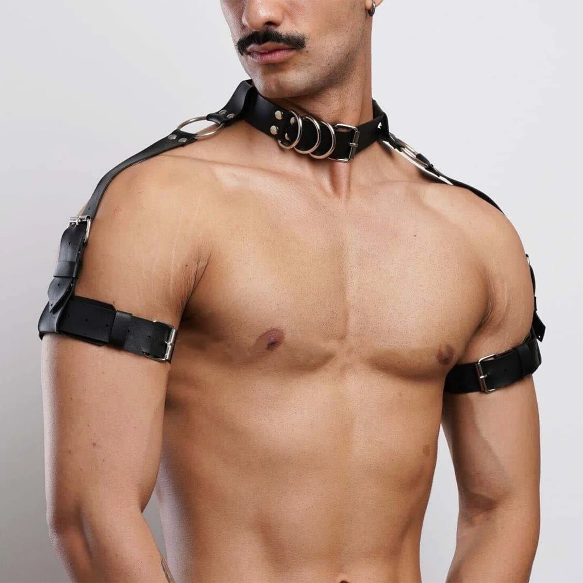 Collar & Bicep Harness