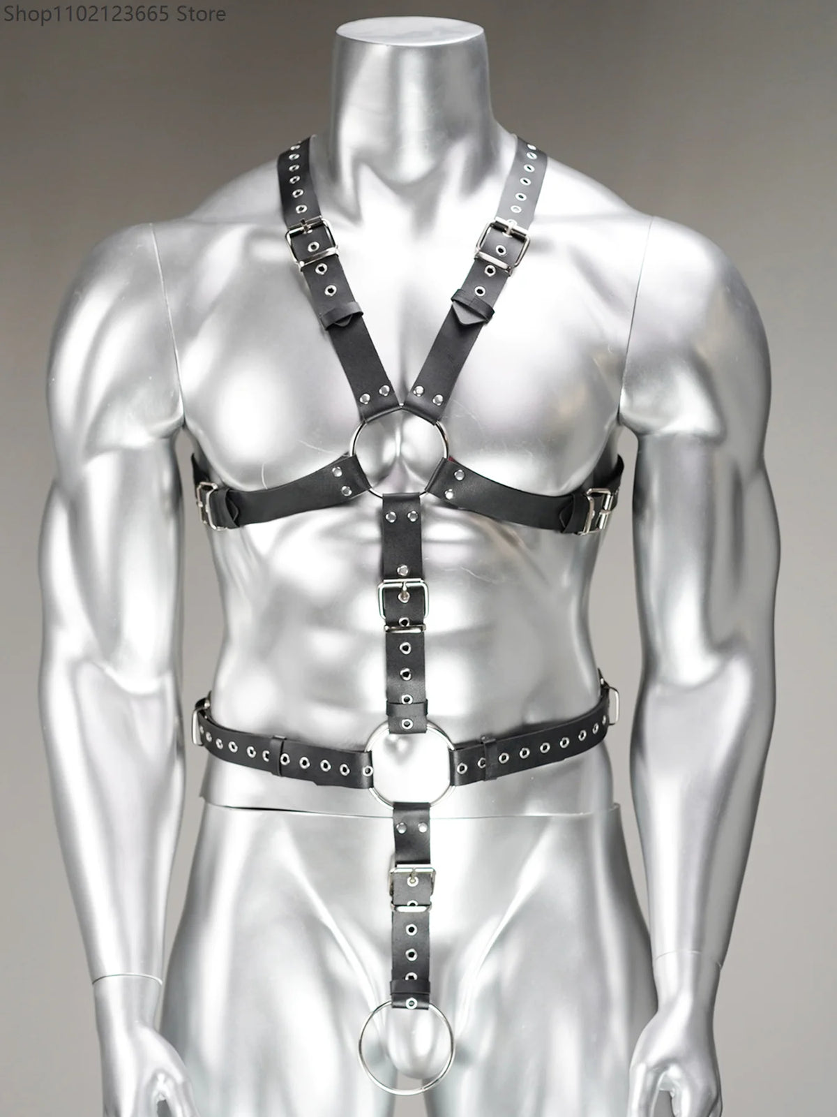 Full Body Harness