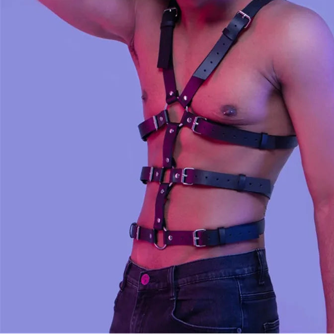 Studded Collar Harness (various styles)