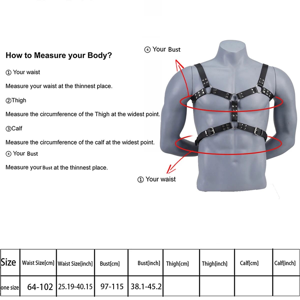 Leather Chest Harness