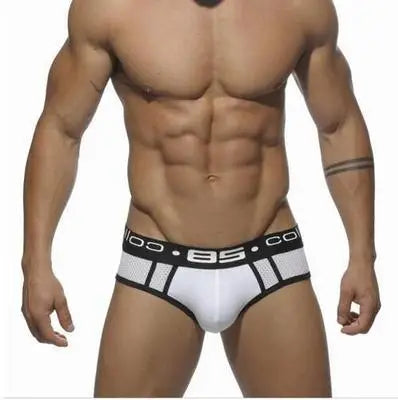 85 Collection Mesh Briefs