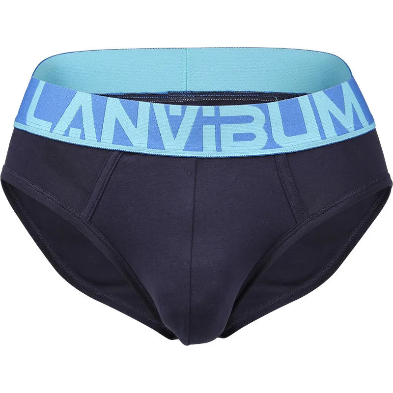 LANVIBUM Cotton Briefs