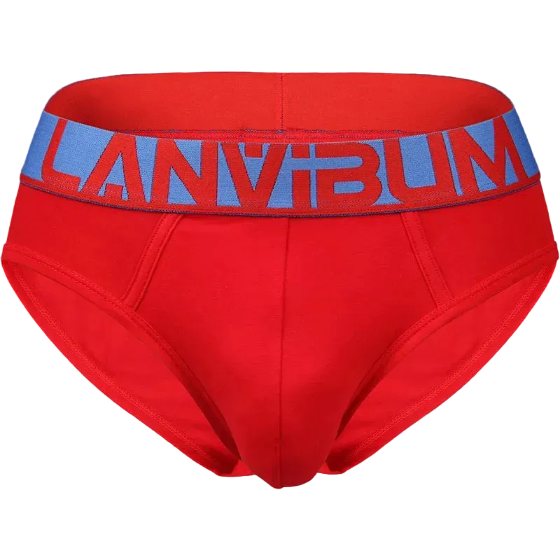 LANVIBUM Cotton Briefs