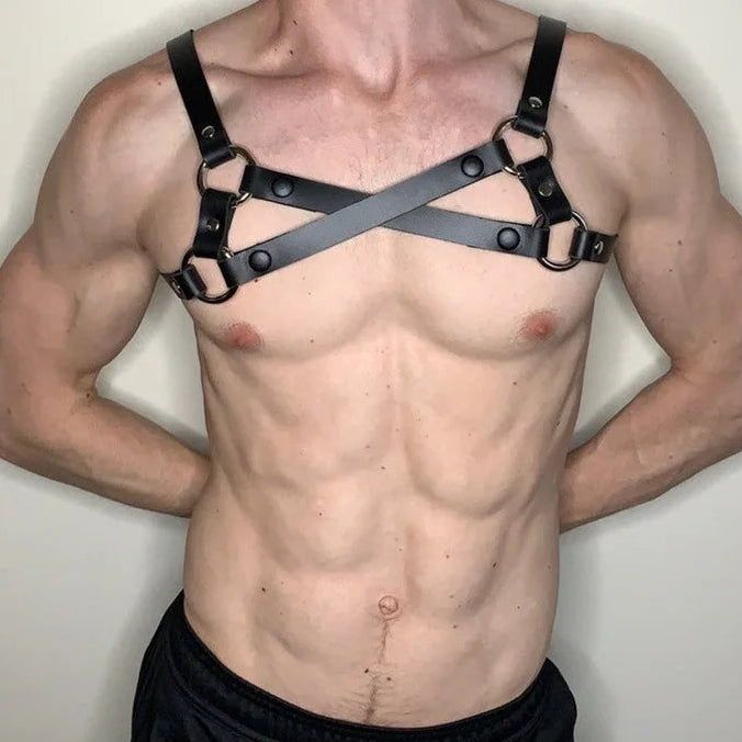 Studded Collar Harness (various styles)