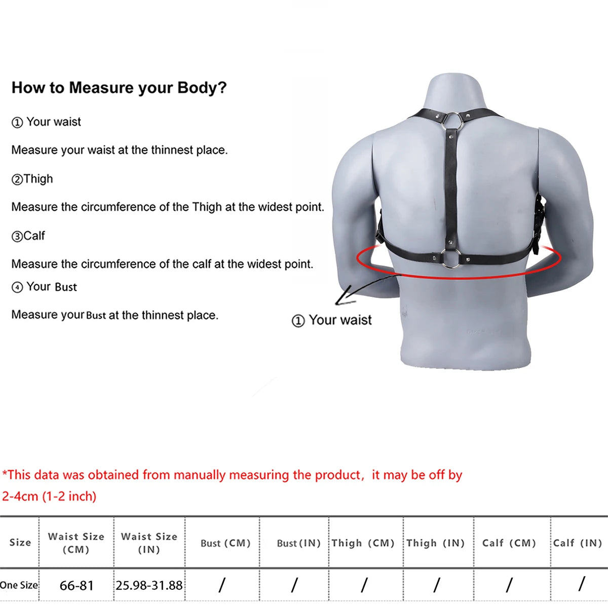 Collar & Bicep Harness