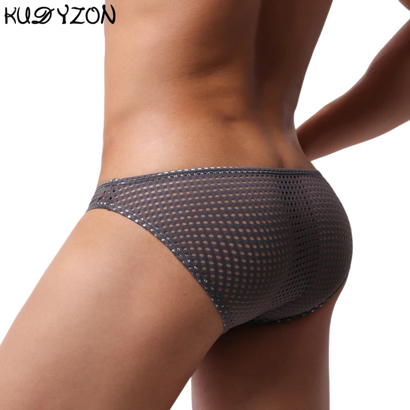 Tease Mesh Briefs