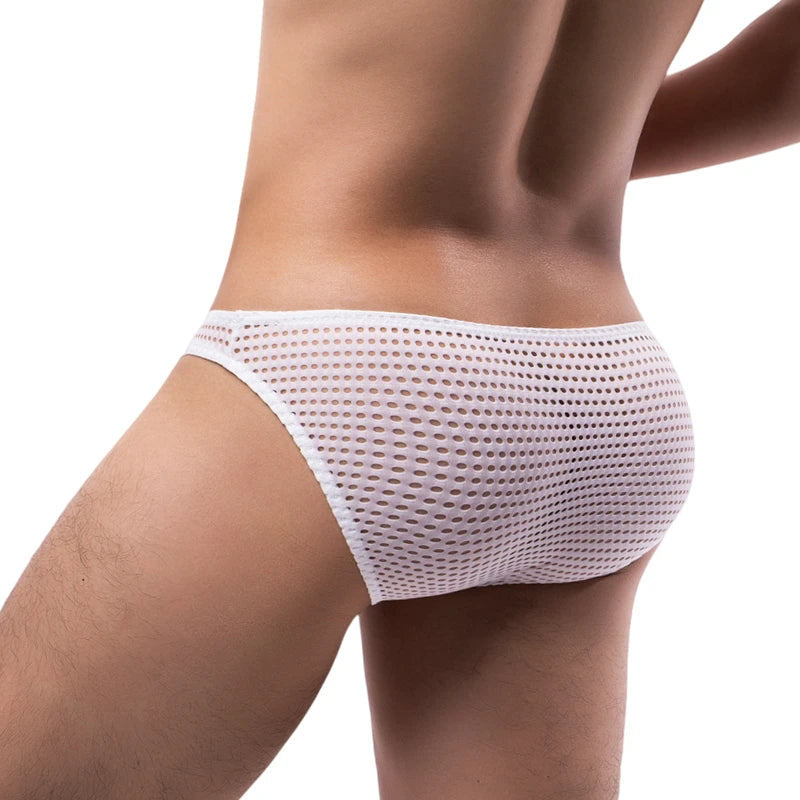 Tease Mesh Briefs